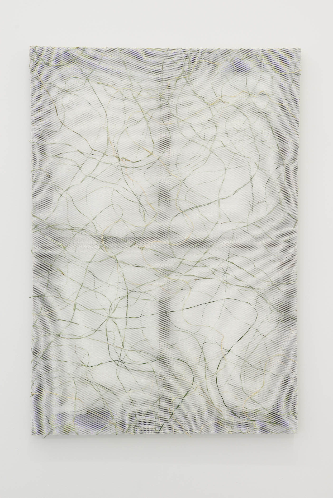 Stephen Nachtigall Net Grama, 2015 Mesh textile, grass, and composite wood