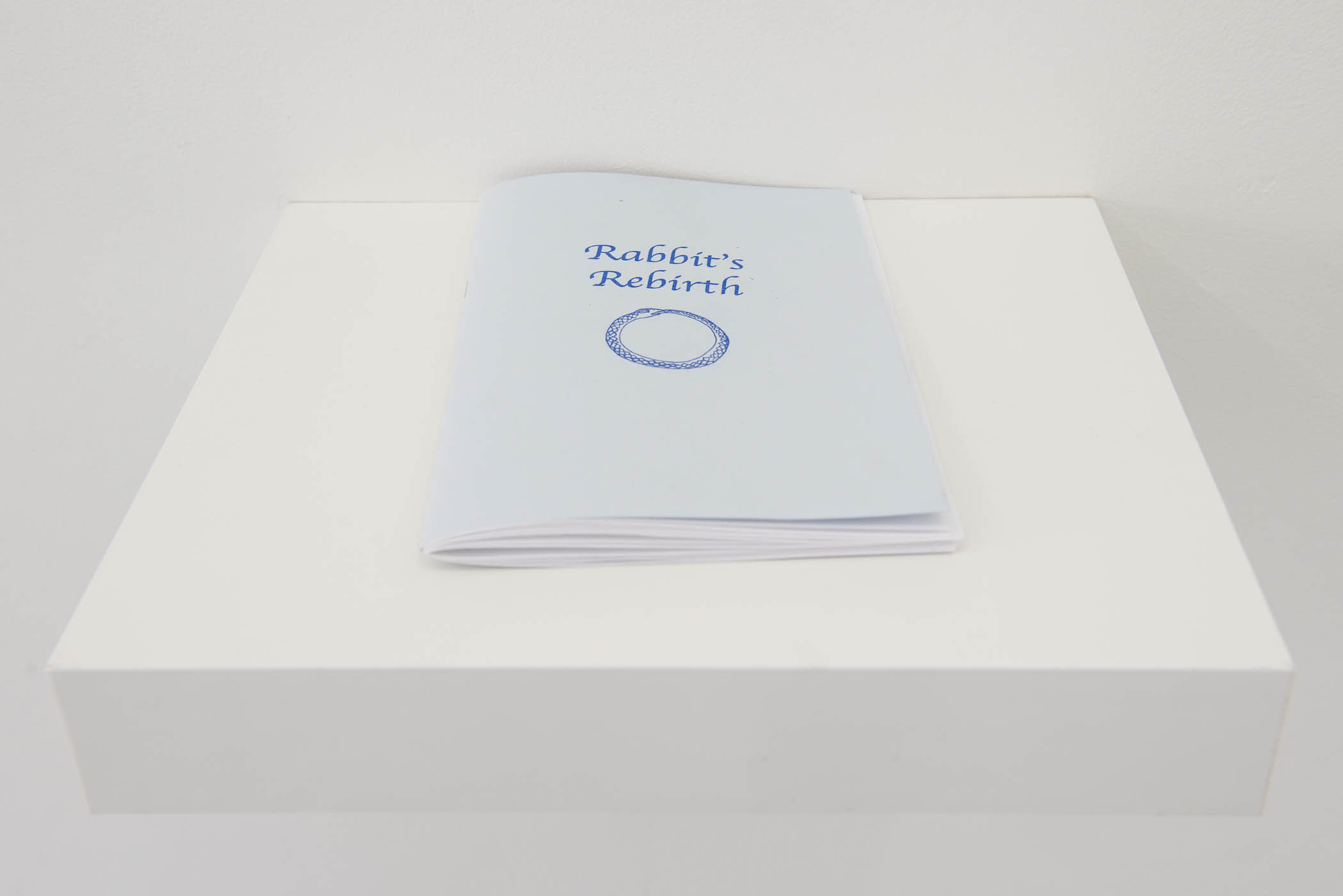 Aidan Koch Rabbit’s Rebirth, 2015 Risograph, edition of 50