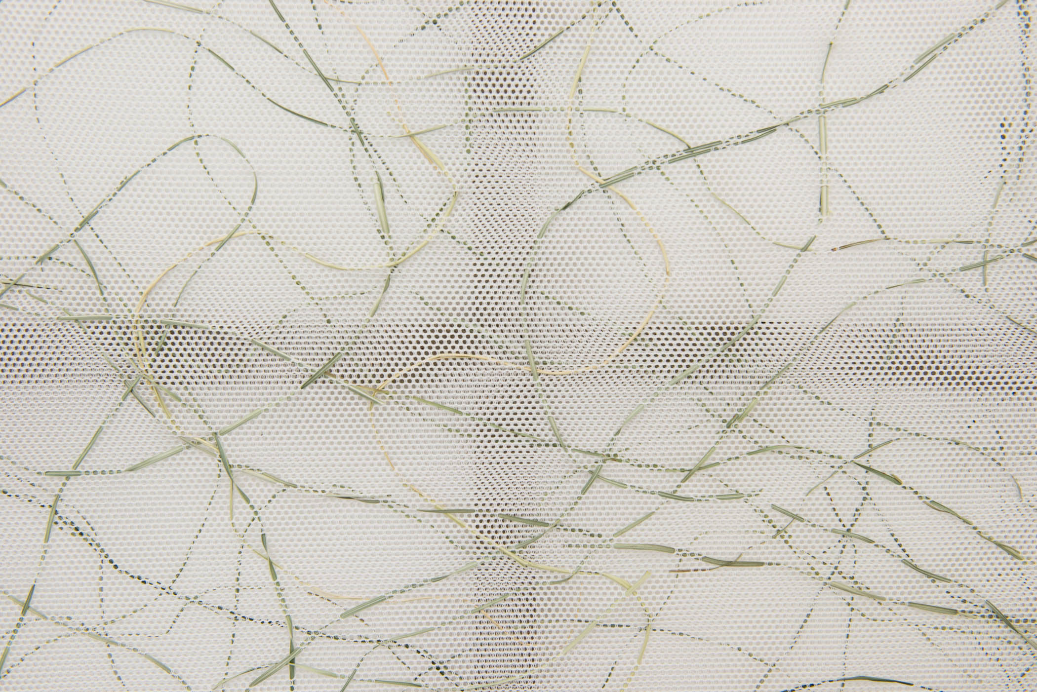 Stephen Nachtigall Net Grama (Detail), 2015 Mesh textile, grass, and composite wood