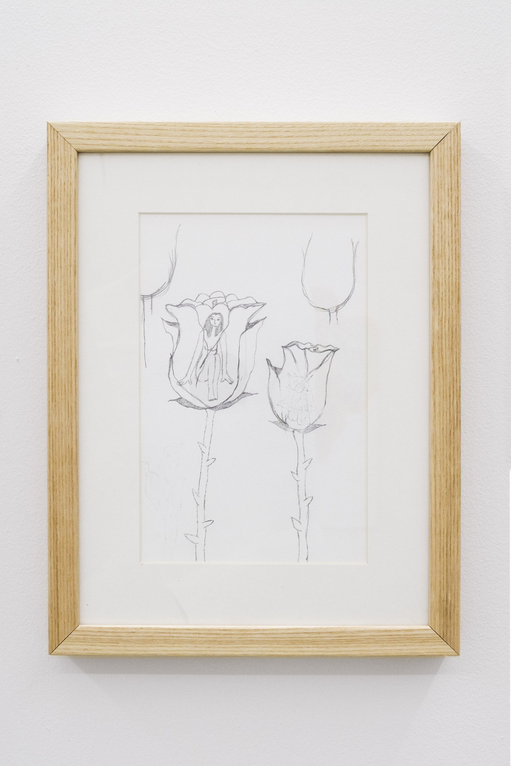 Quintessa Matranga Rosebud, 2016 Graphite on paper