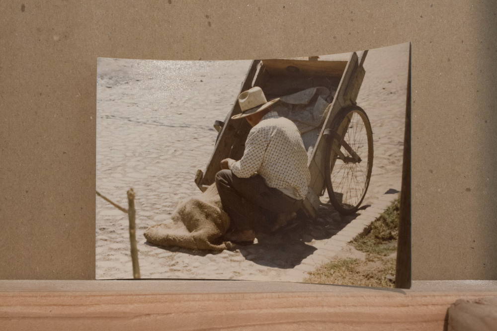 Quintessa Matranga and Rafael Delacruz Untitled,2016 Found photographs Dimensions variable 