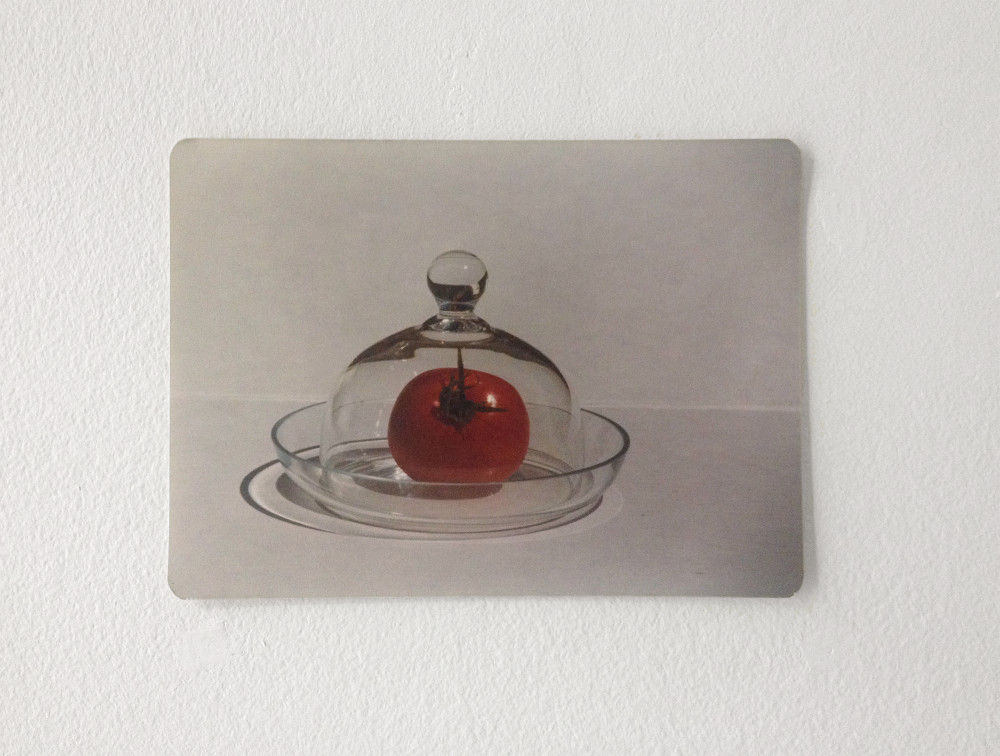 Quintessa Matranga and Rafael Delacruz Untitled,2016 Found photographs Dimensions variable 