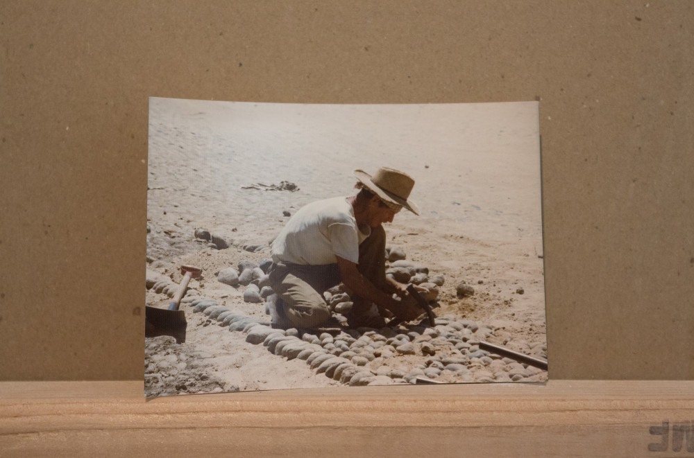 Quintessa Matranga and Rafael Delacruz Untitled,2016 Found photographs Dimensions variable 