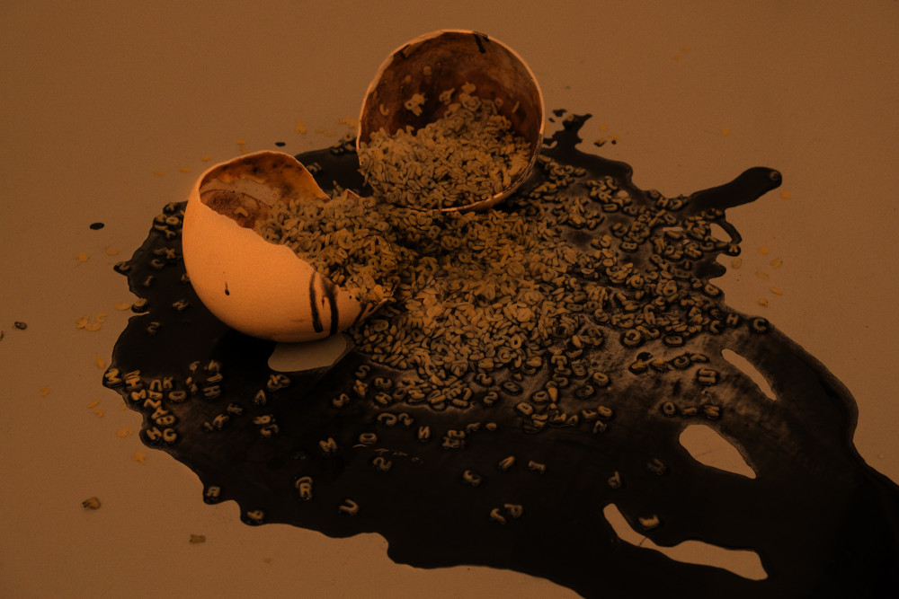 Joel Dean The Transformative Power of Symbolism in Storytelling, 2016 Pasta, ostrich egg, soap, charcoal 