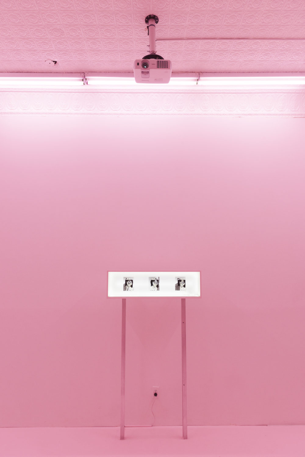 Alex Ito Hideyuki/Sueko (9066), 2016 Led lights, acrylic, digital print on vinyl, aluminum, wood and paint