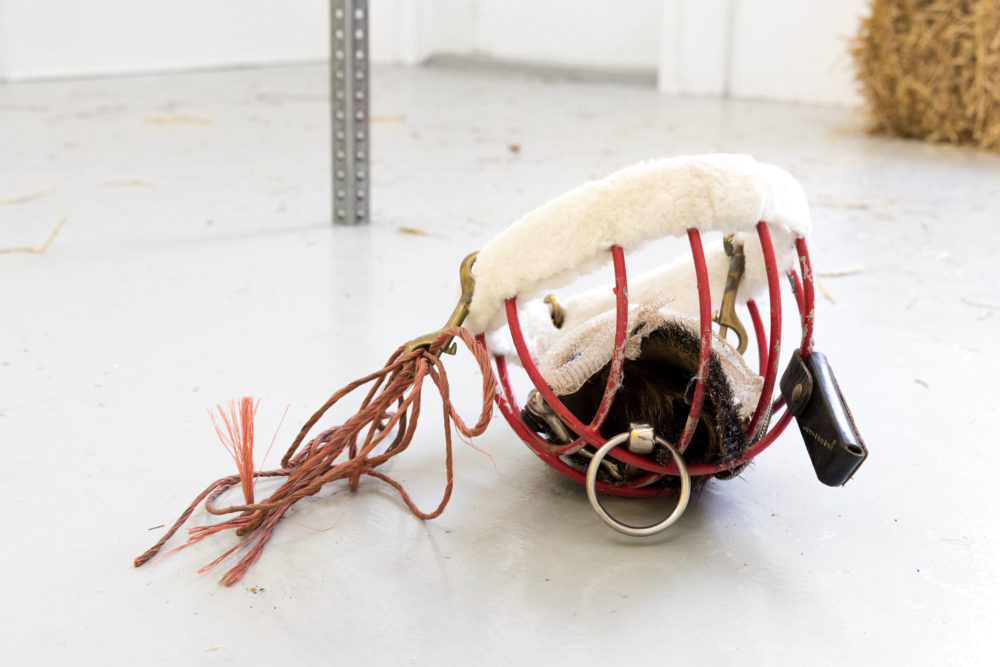 Gunnar Tchida Untitled, 2016 Horse muzzle, pocket knife, belt buckle, snaffle bit, snakeskin, elk hide, Eurasian Collared Dove feather, bailing twine, Leatherman case