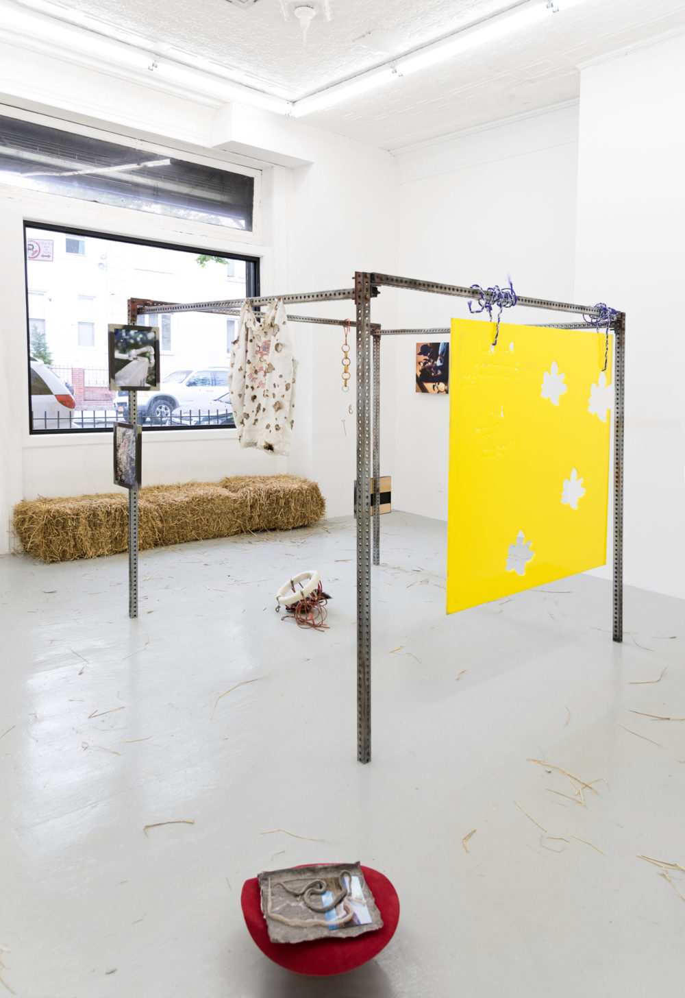 Dusty Contessa Finds A Homestead, 2016 Installation view