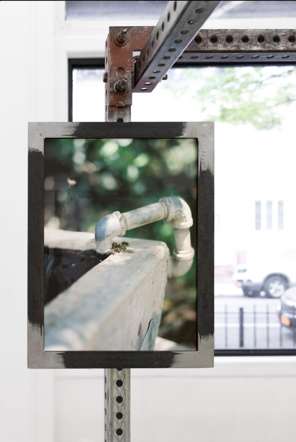 Suzanna Zak No Song No Supper No Bees No Honey No Work No Money, 2016 C-print, sticker, artist’s frame