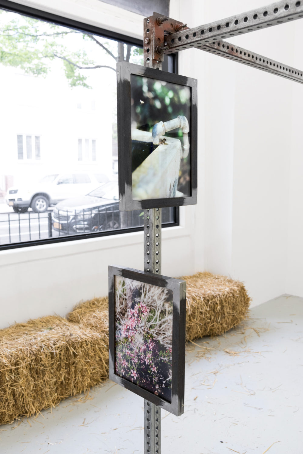 Dusty Contessa Finds A Homestead, 2016 Installation view