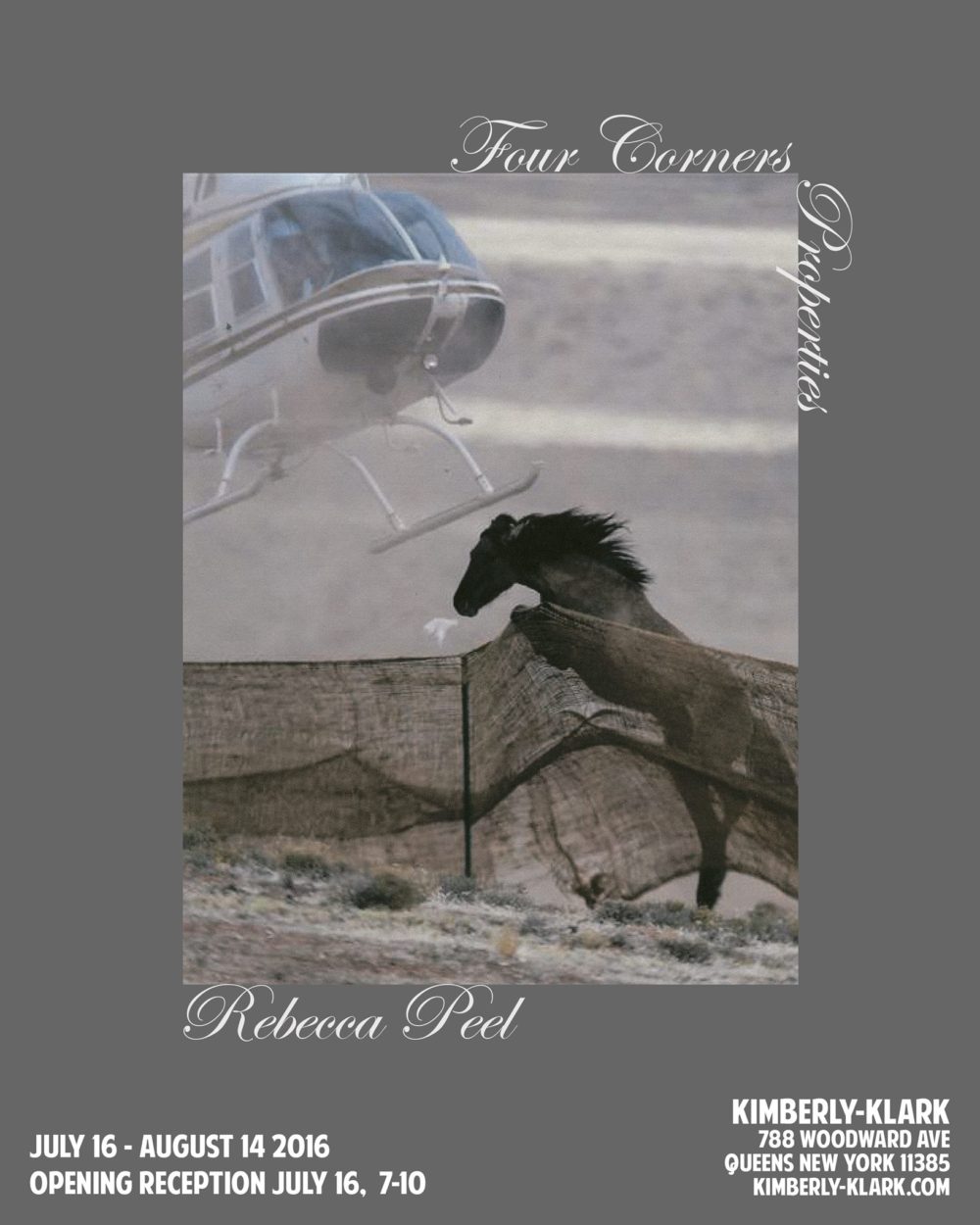 13603579_1751523975061957_6845426132323130635_o