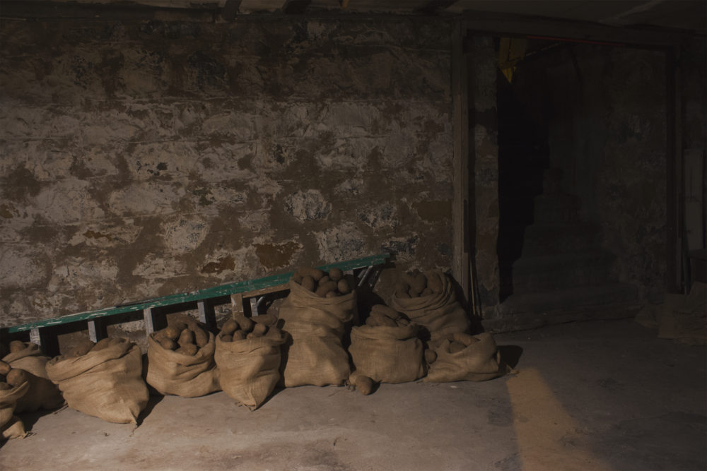 Betty Roytburd & Filip Olszewski Piwnica, 2016 Potatoes, burlap, dirt, wood, miscellaneous found items