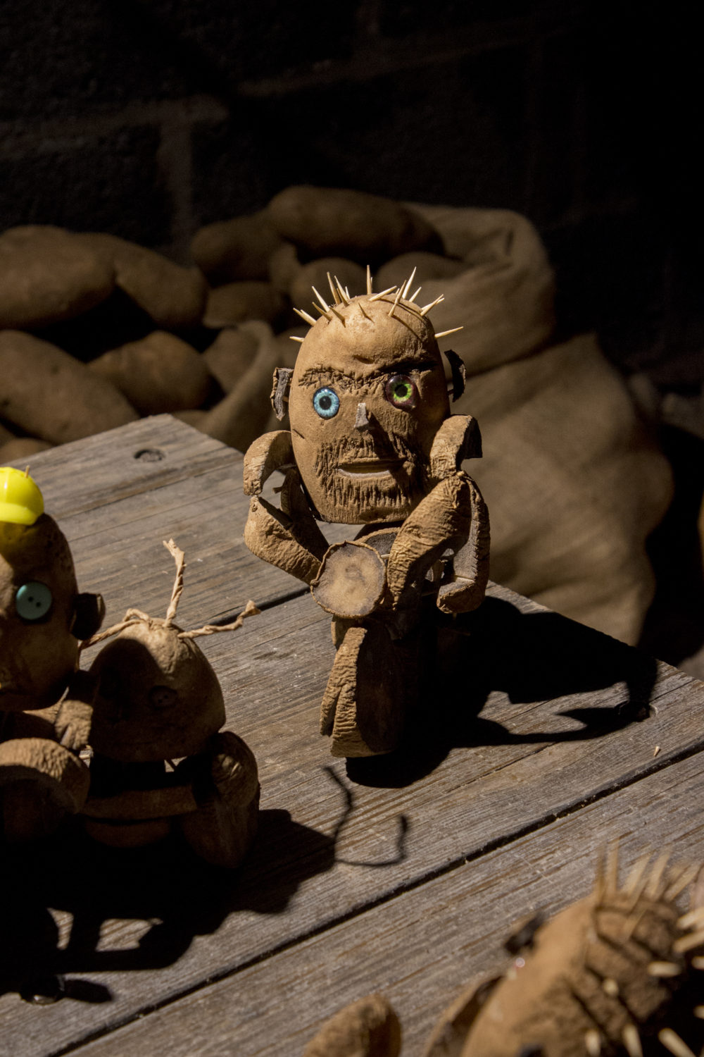 Betty Roytburd Night Wolves (Detail), 2016 Potatoes, toothpicks, plastic