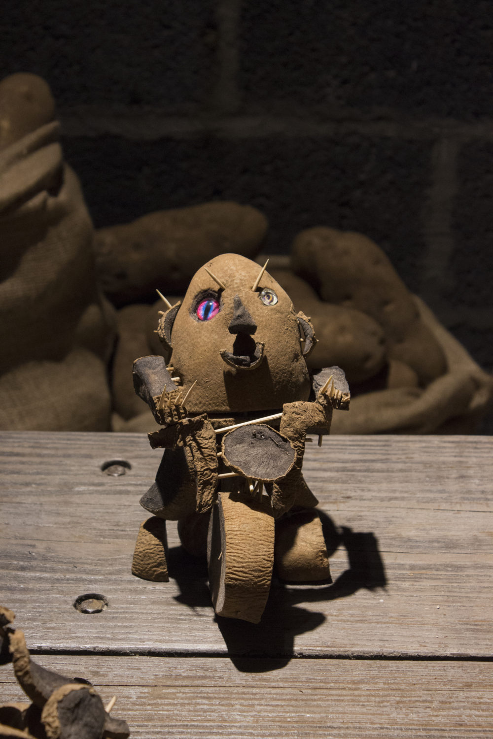 Betty Roytburd Night Wolves (Detail), 2016 Potatoes, toothpicks, plastic