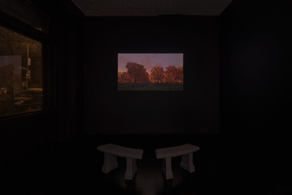 Jacky Connolly Hudson Valley Ruins (Installation view), 2016 Video, color, sound, benches 30 minutes