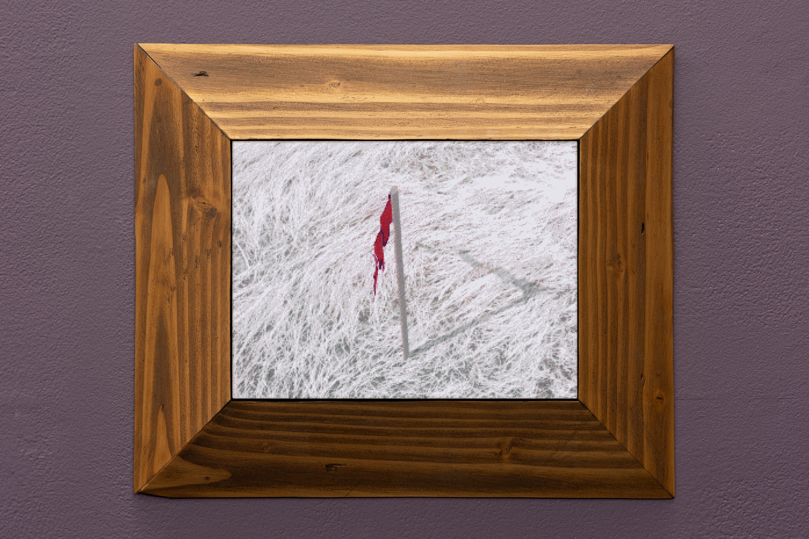 Filip Olszewski at Kimberly-Klark